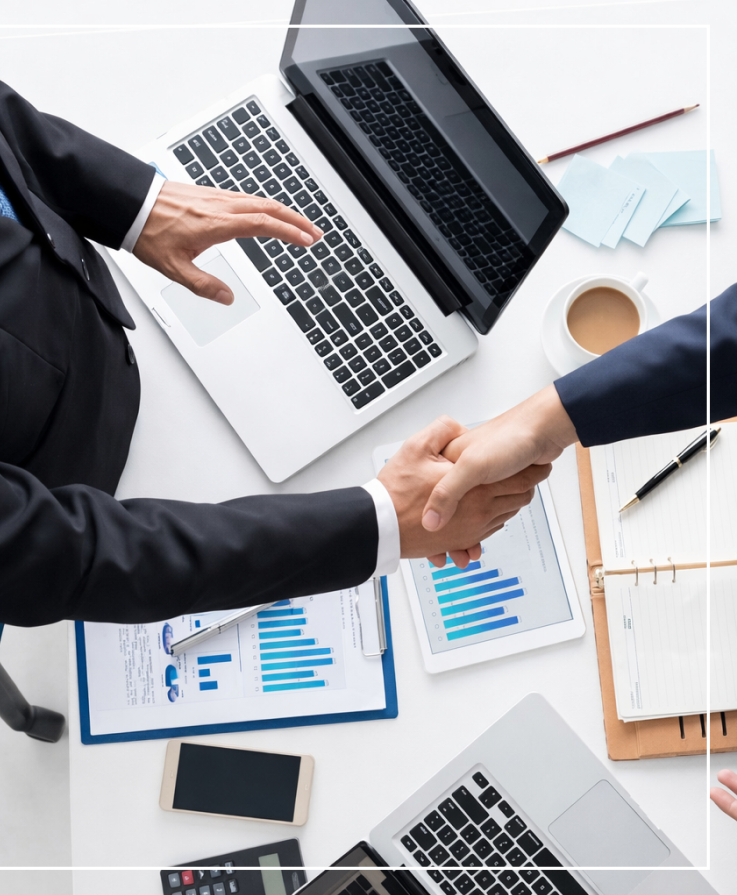 Business consultation meeting